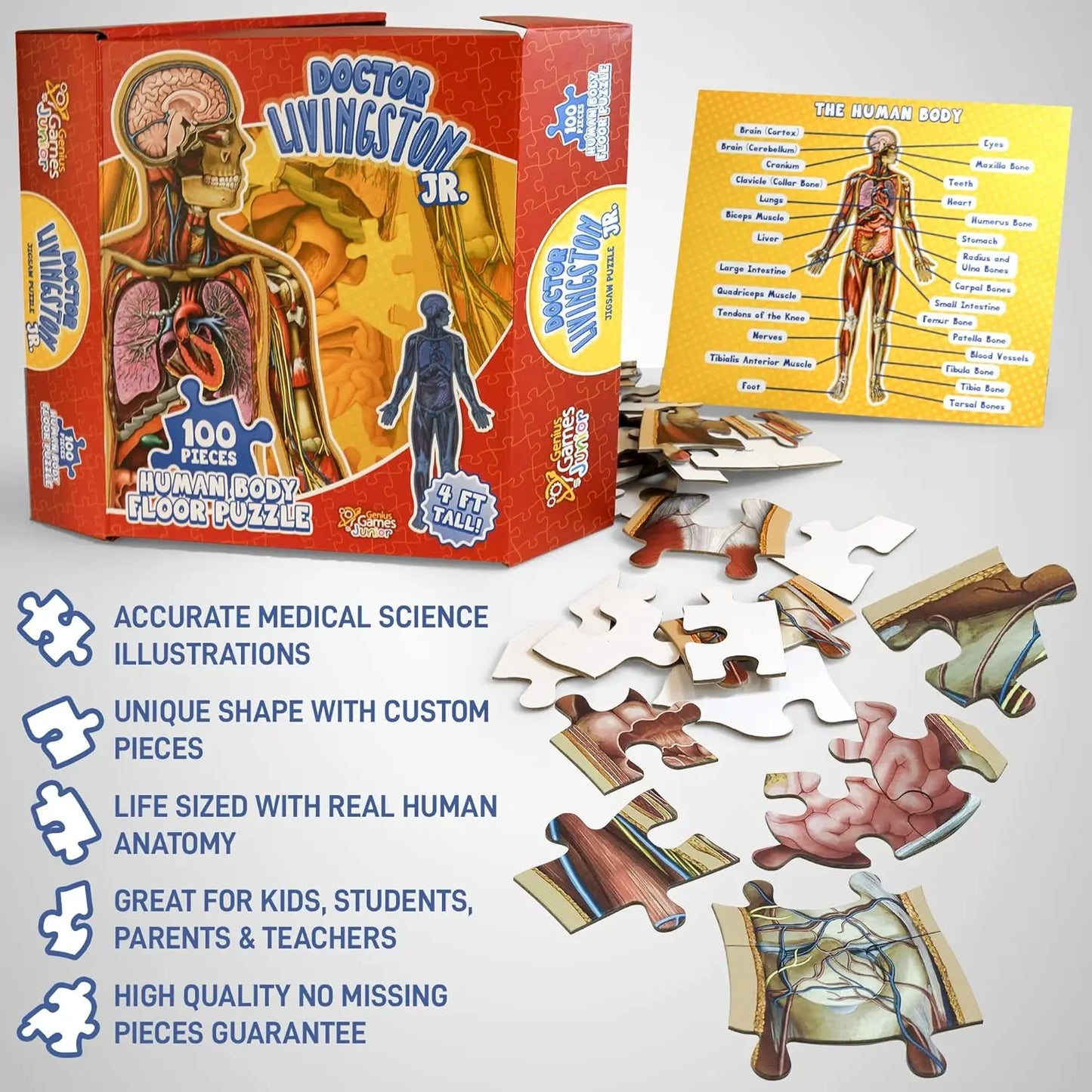 Kid's 100 Piece Human Body Floor Puzzle: Dr Livingston's Jr. - A Medically Accurate 4ft Human Anatomy Jigsaw Puzzle