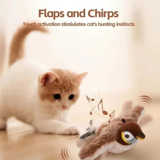 Auraivo Cat Toys