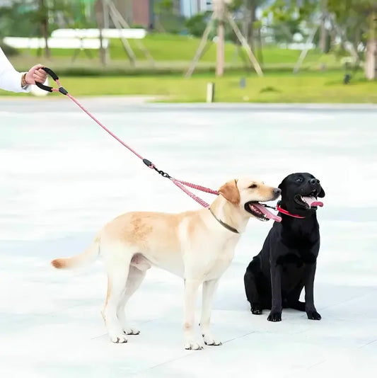 360° No-Tangle Double Dog Leash – Shock-Absorbing Bungee for Two Dogs