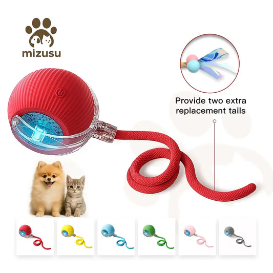 Mizusu Interactive Pet Rolling Ball Toy with 2 Replaceable Tails, Automatic Dog & Cat Teaser Toy