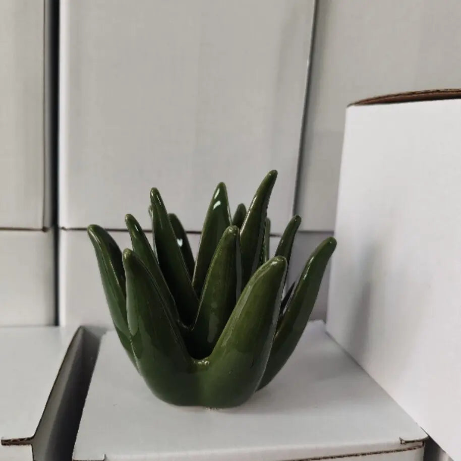 Cactus Aloe Ring Holder Tray, Ceramic Jewelry Storage Organiser Display Stand for Home or Office Desk Decor, Cute Gift for Women, Friends and Mom