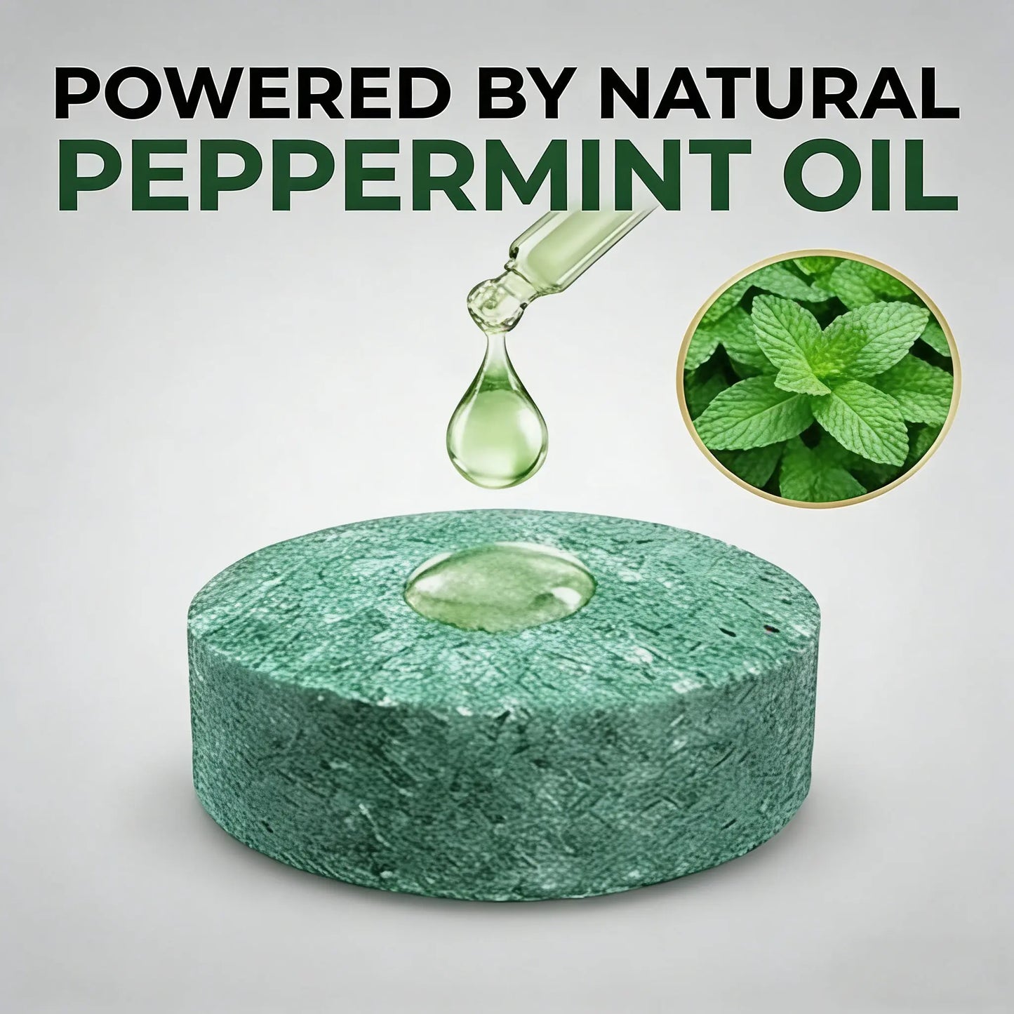 12-Pack Peppermint Oil Mouse Repellent | Natural Pest Deterrent for Rats & Ants