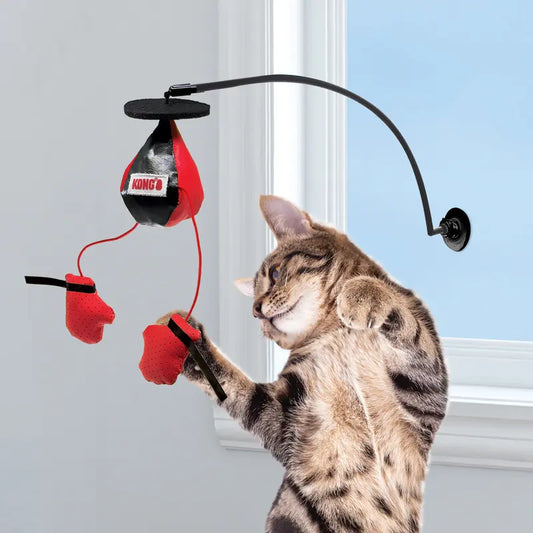 Interactive Cat Punching Bag Toy
