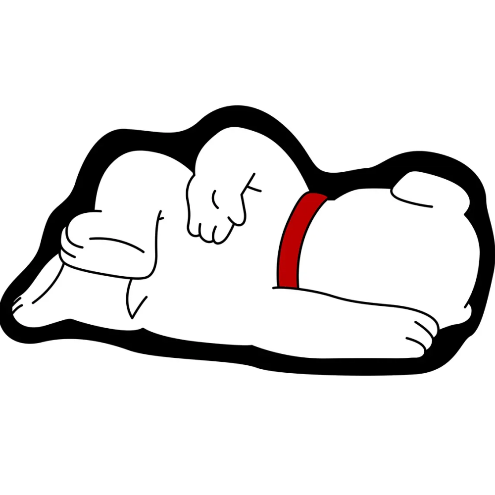 Funny Cartoon Character Floor Mat – Soft Plush Non-Slip Washable Area Rug for Bedroom & Living Room