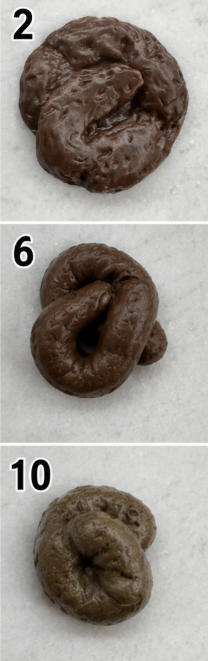 Fake Poop Prank Props – Realistic Funny Gag Gift for Office, Pet & Party Pranks