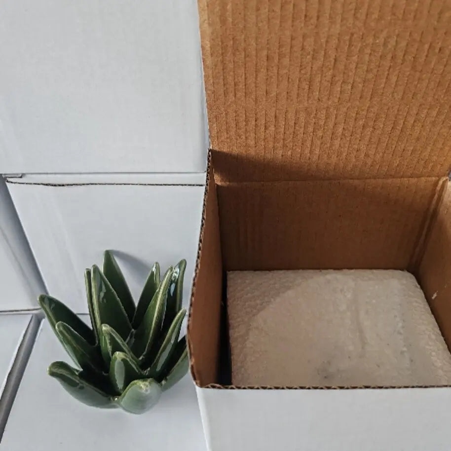 Cactus Aloe Ring Holder Tray, Ceramic Jewelry Storage Organiser Display Stand for Home or Office Desk Decor, Cute Gift for Women, Friends and Mom