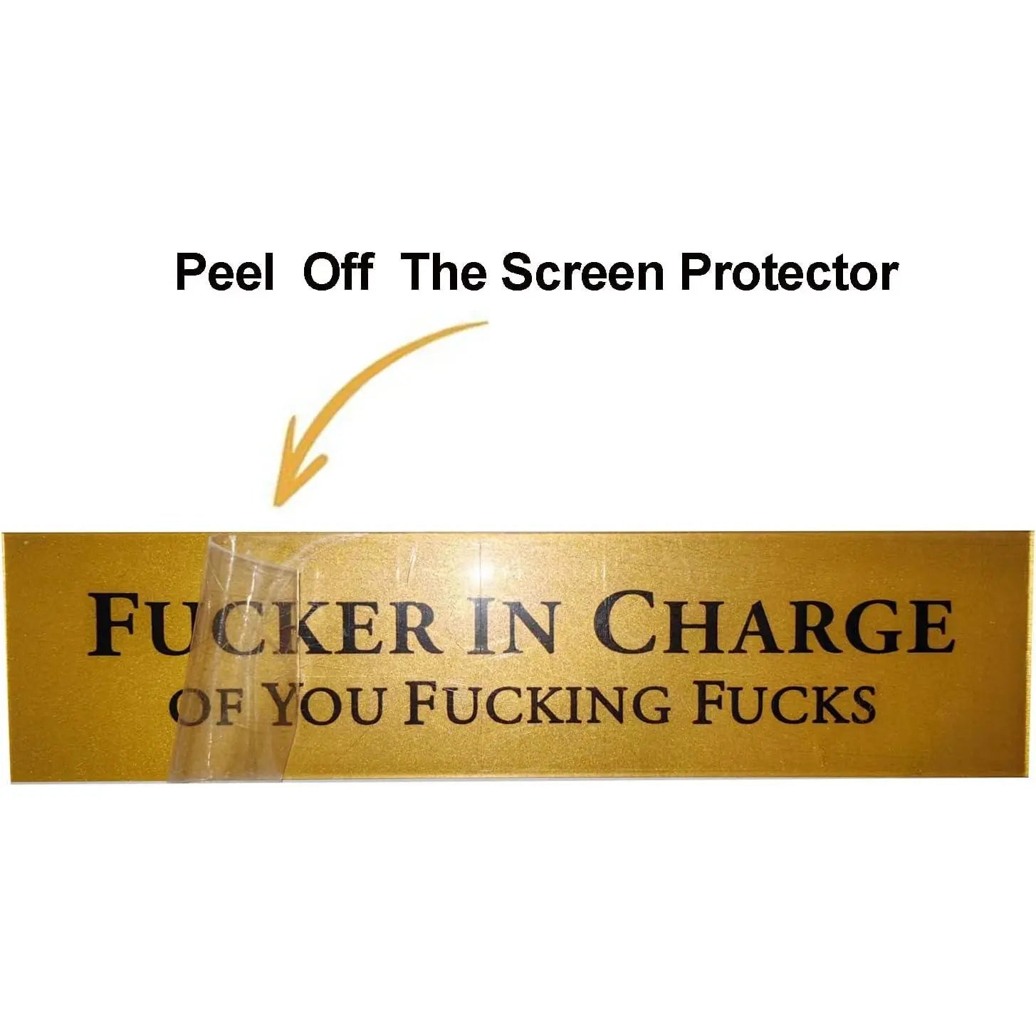Fucker in Charge Office Desk Plate Sign - 8x2" Executive Desk Nameplate for Boss, Manager, and Coworker Gifts - (Brown), Desk Signs, Home Supplies Plaque