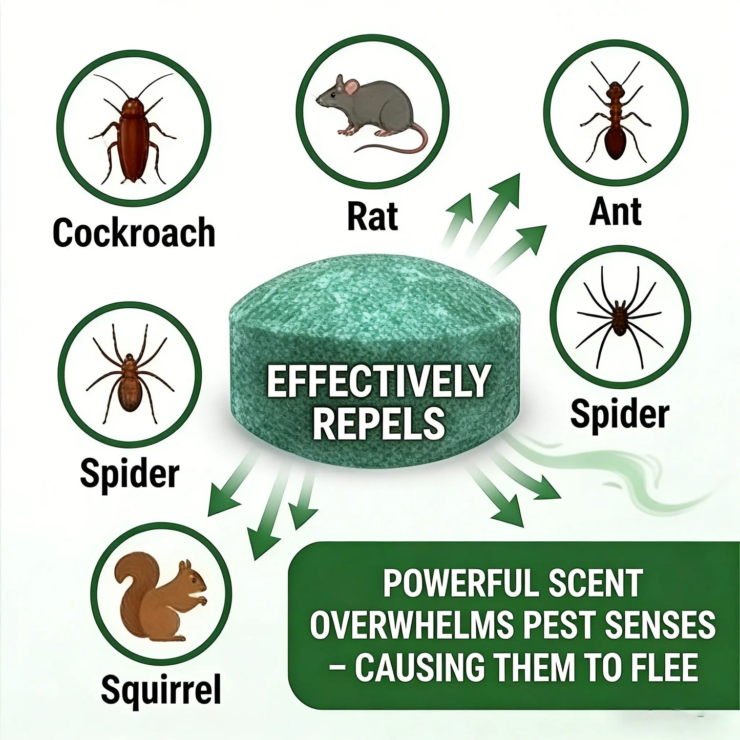 12-Pack Peppermint Oil Mouse Repellent | Natural Pest Deterrent for Rats & Ants