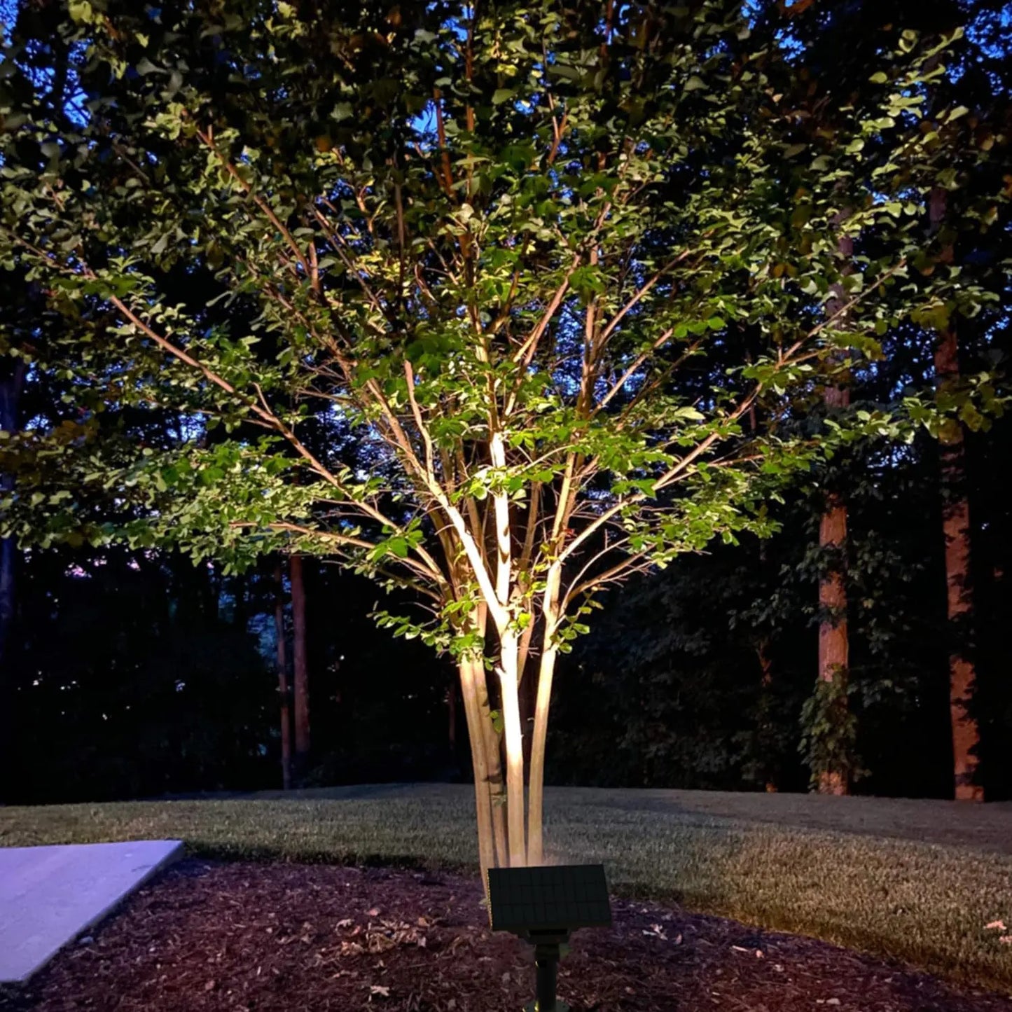 2-Pack Solar Spotlights with 64 LEDs, IP65 Waterproof Outdoor Landscape Lights, 2-in-1 Wireless Solar Wall Lights for Garden and Driveway, Cool White & Warm White, 4 Modes