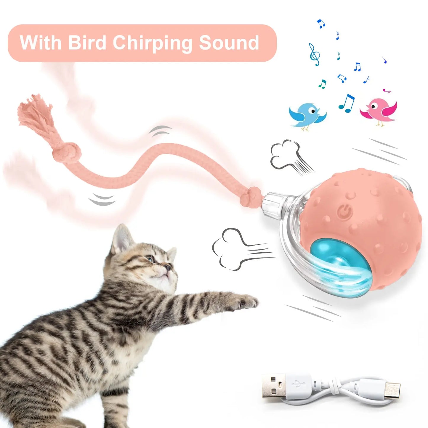 Interactive Cat Ball Toy | Bird Chirping & Motion Activated Rug Kicker