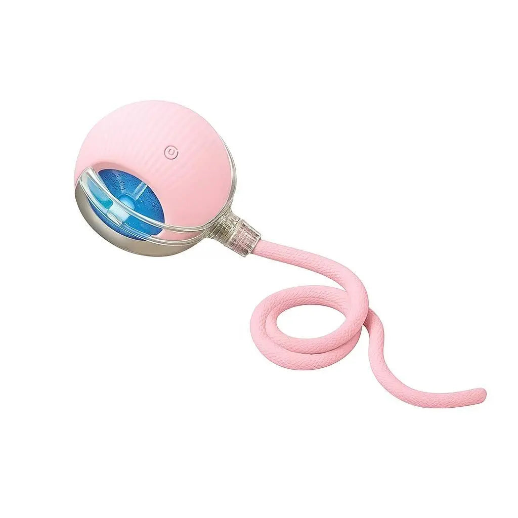 Mizusu Interactive Pet Rolling Ball Toy with 2 Replaceable Tails, Automatic Dog & Cat Teaser Toy