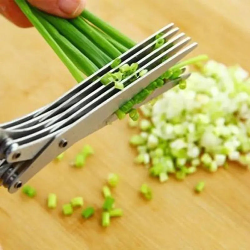 Stainless Steel 5-Blade Scallion Cutter Scissors – Multi-Layer Kitchen Herb Shears