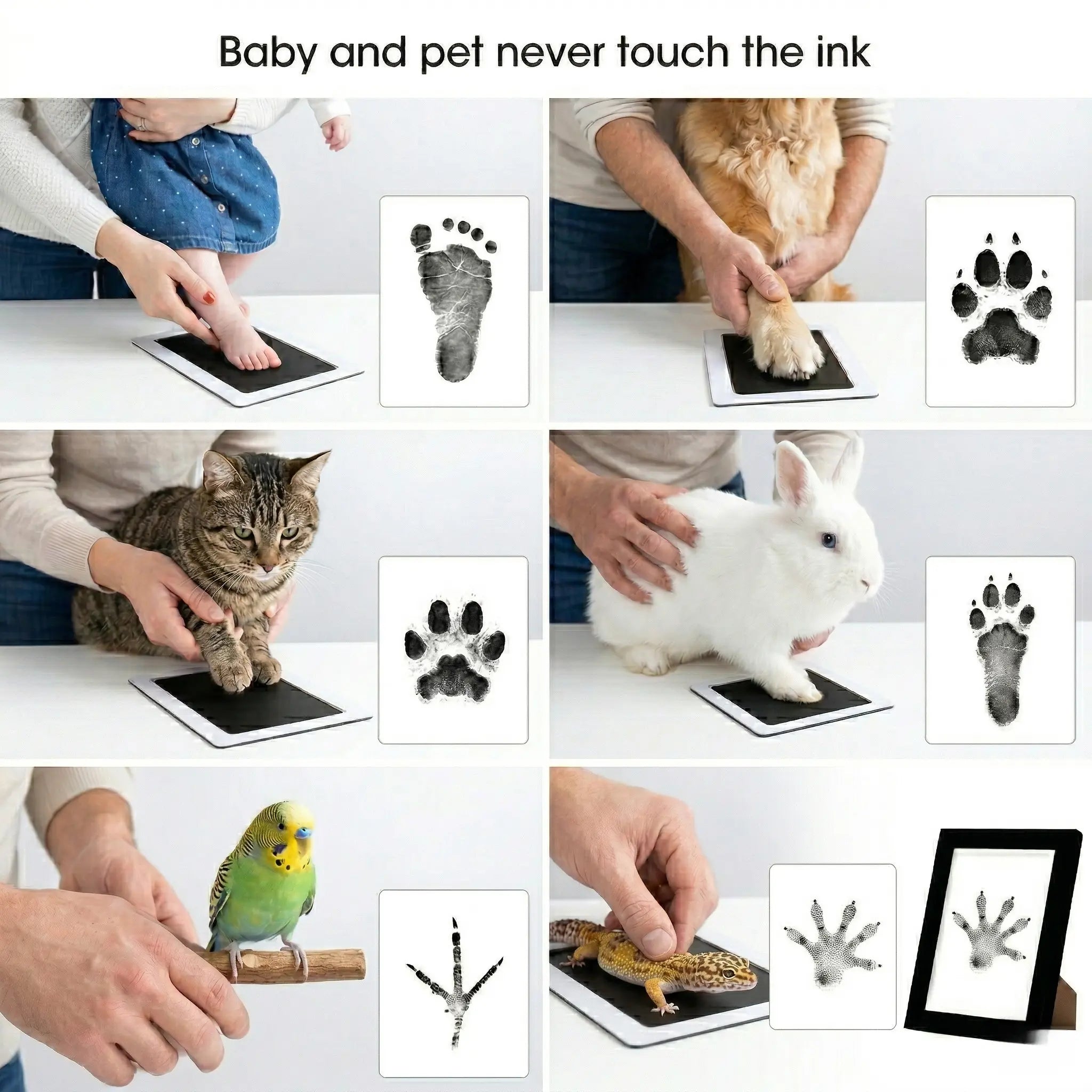 No-Mess Pet Paw Print Keepsake Kit with Frames for Dogs and Cats