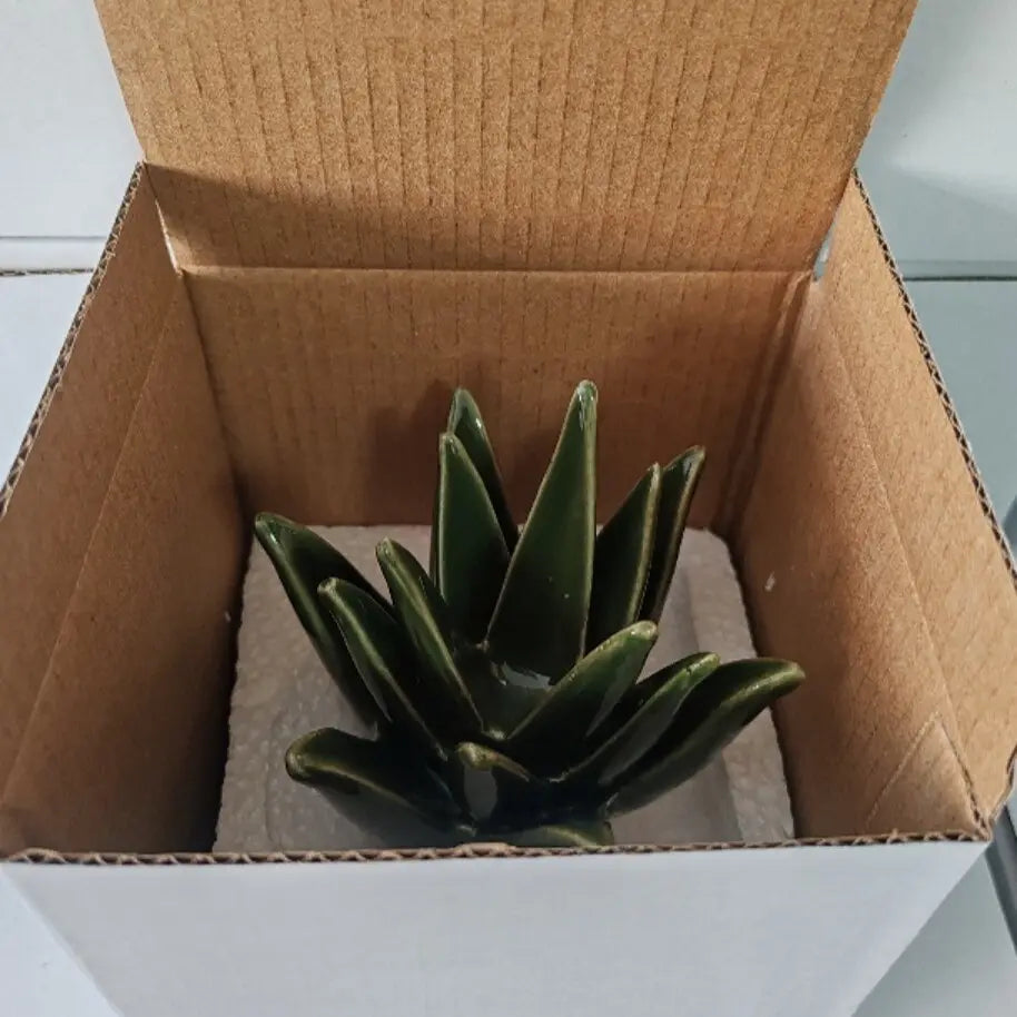 Cactus Aloe Ring Holder Tray, Ceramic Jewelry Storage Organiser Display Stand for Home or Office Desk Decor, Cute Gift for Women, Friends and Mom