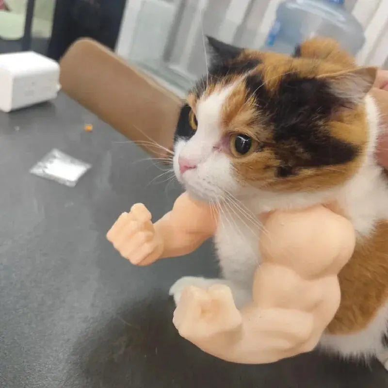 Cat neck-hanging fist toy pendant, funny gadget, cat pet muscle arm model