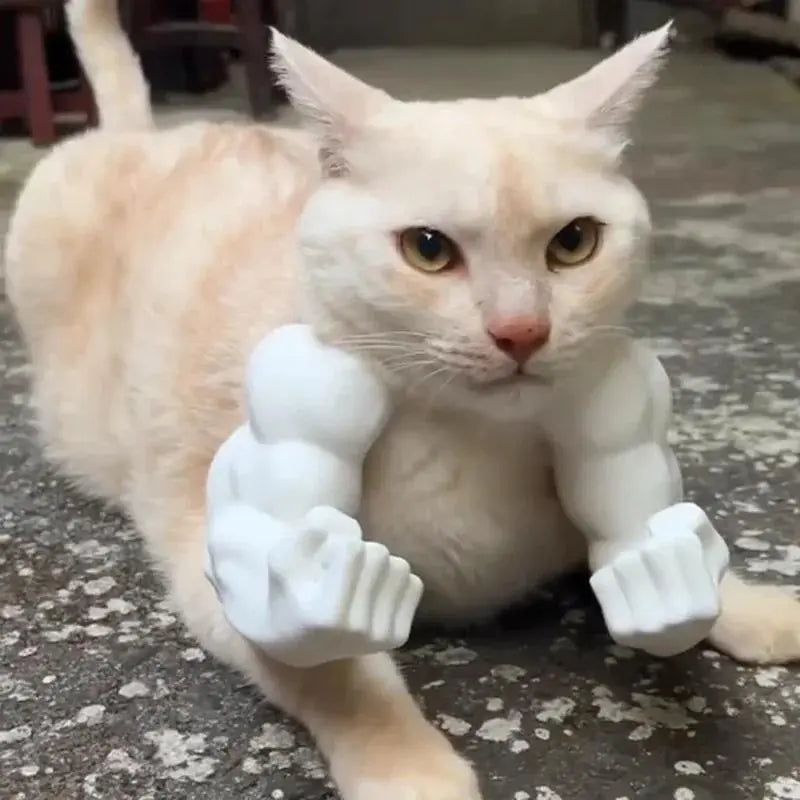 Cat neck-hanging fist toy pendant, funny gadget, cat pet muscle arm model