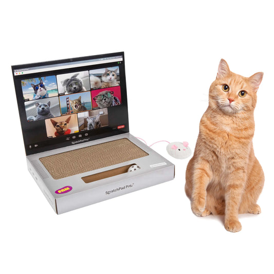 ScratchPad Pro Cardboard Laptop Cat Scratcher – Funny Interactive Indoor Toy