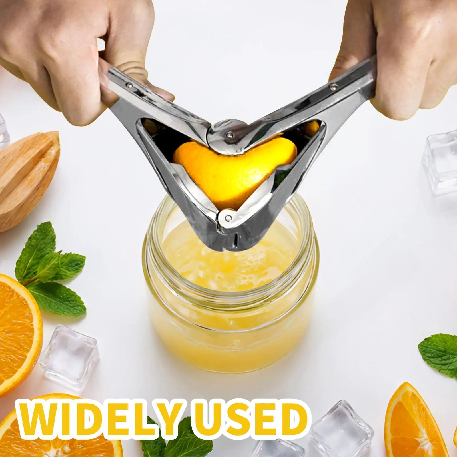 【AREL】Stainless Steel Citrus Squeezer