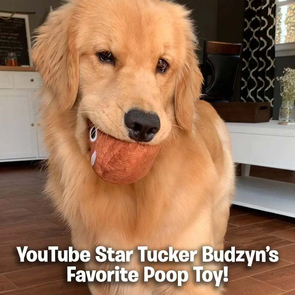 Funny Plush Poop Toy with Fart Sounds - Hilarious as Gifts for Teen Boys or Office Prank - Great As Poop Dog Toy with Long Lasting Build - Use as Fart Prank or Interactive Gag Gifts