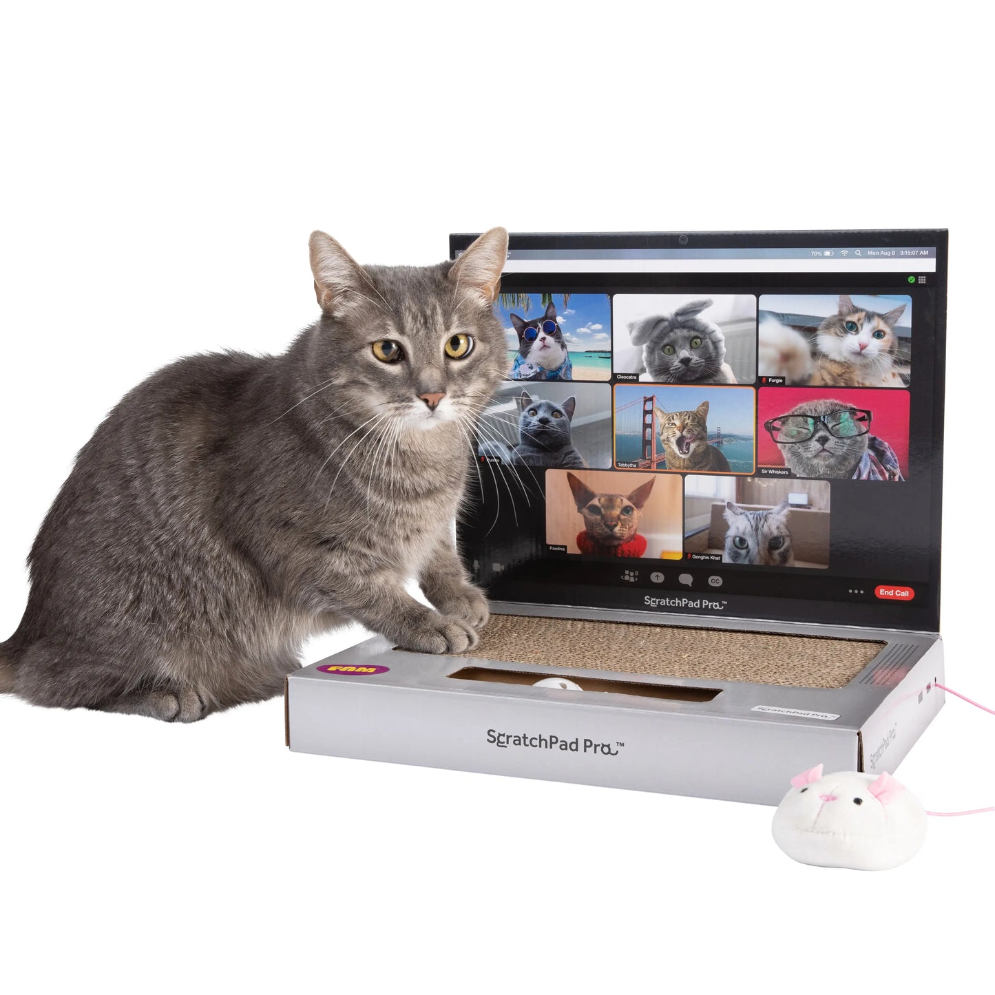 ScratchPad Pro Cardboard Laptop Cat Scratcher – Funny Interactive Indoor Toy