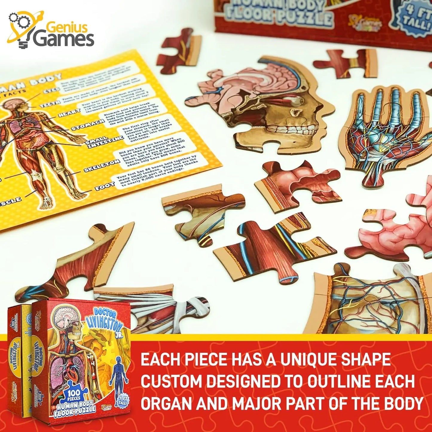 Kid's 100 Piece Human Body Floor Puzzle: Dr Livingston's Jr. - A Medically Accurate 4ft Human Anatomy Jigsaw Puzzle