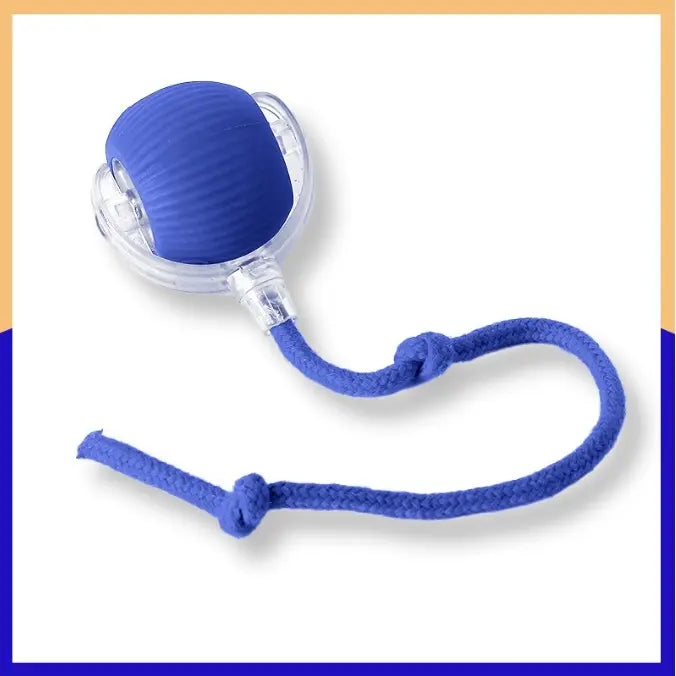 Interactive Cat Ball Toy | Bird Chirping & Motion Activated Rug Kicker